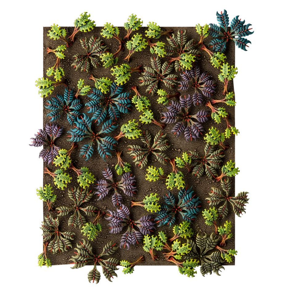 Barbed Bracken - Image 2