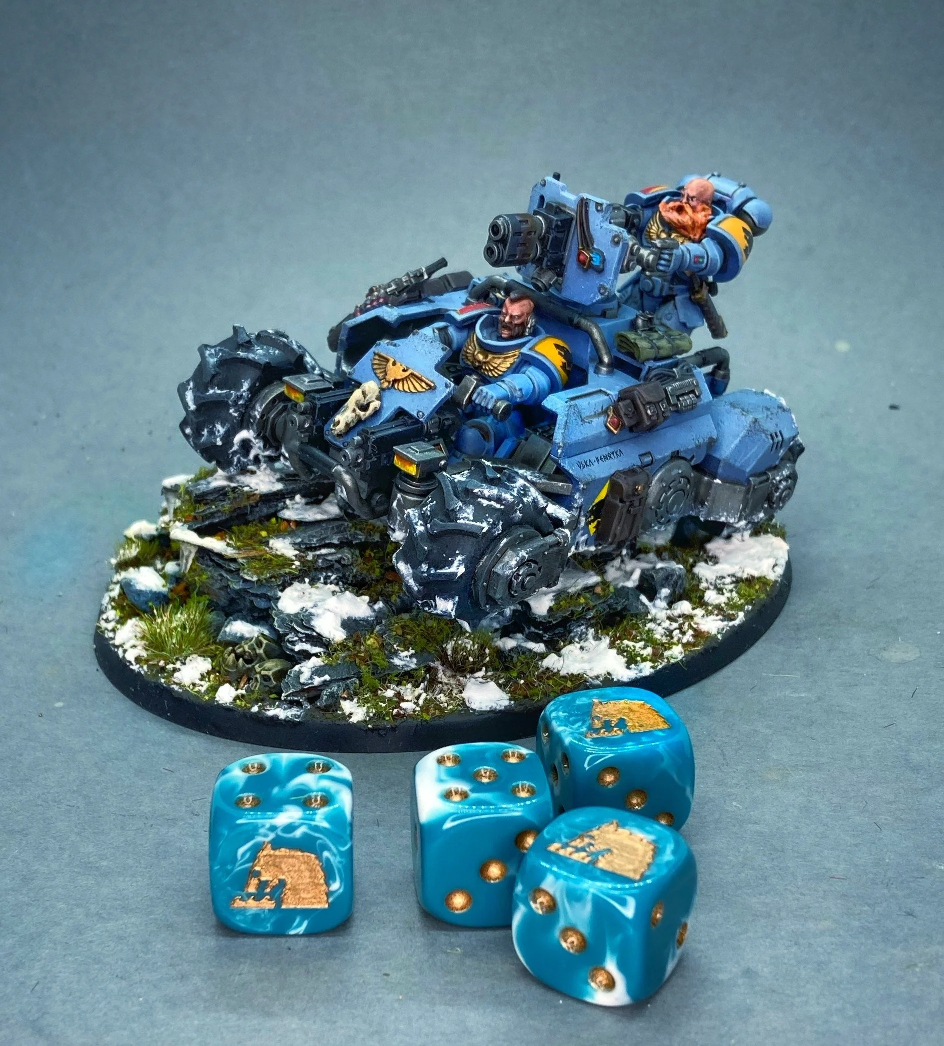 Sea Wolves 16Mm Dice - Image 6